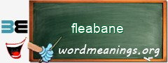 WordMeaning blackboard for fleabane